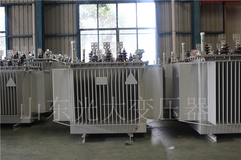 鹤山S20-500KVA/10KV